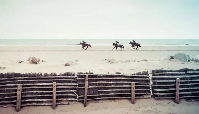 Hyper Centre - 4 Pers - 1 Min Place Morny